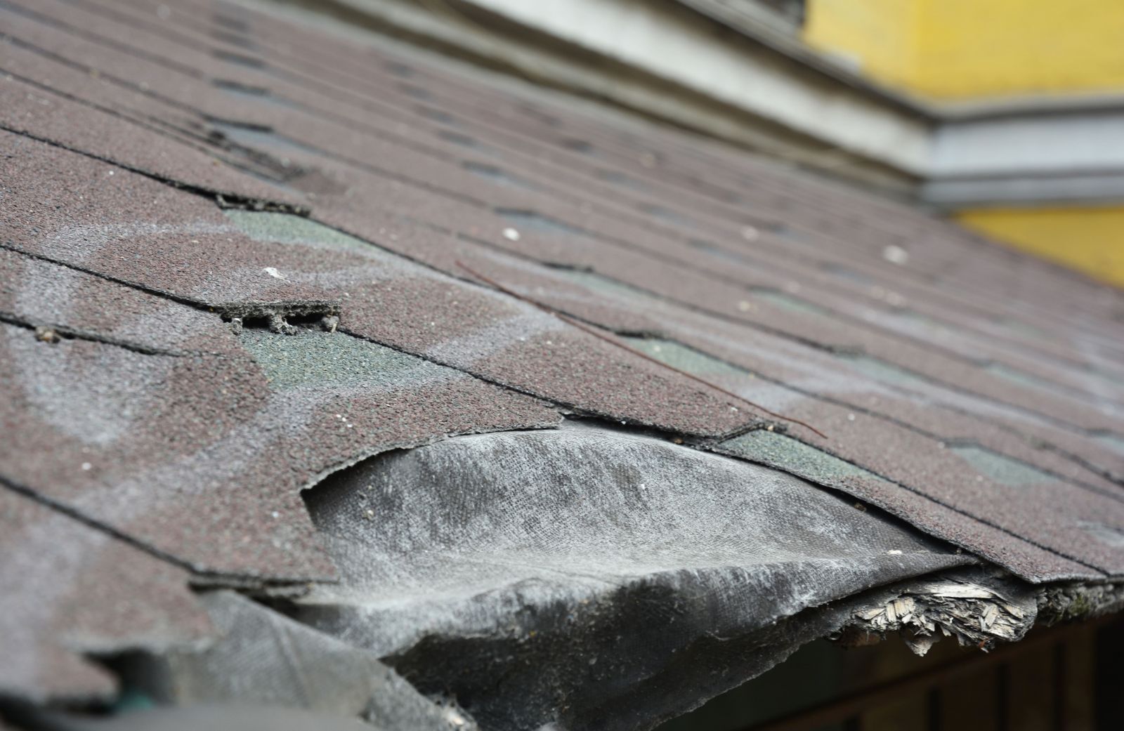 1st Alert Roofing Florida Images