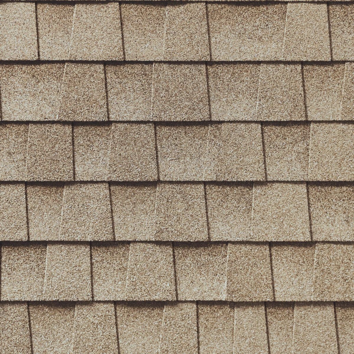 1st Alert Roofing Florida Images