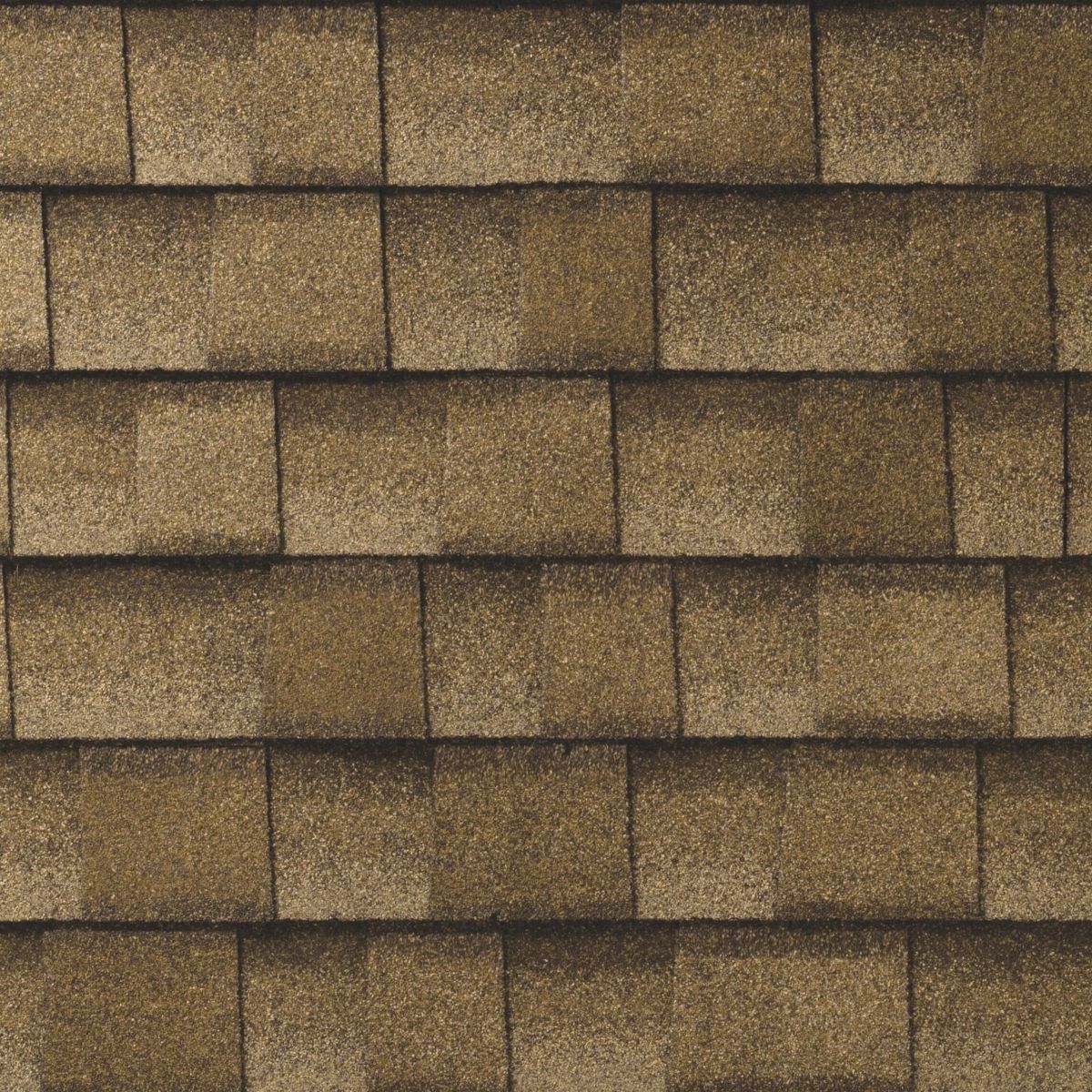 1st Alert Roofing Florida Images
