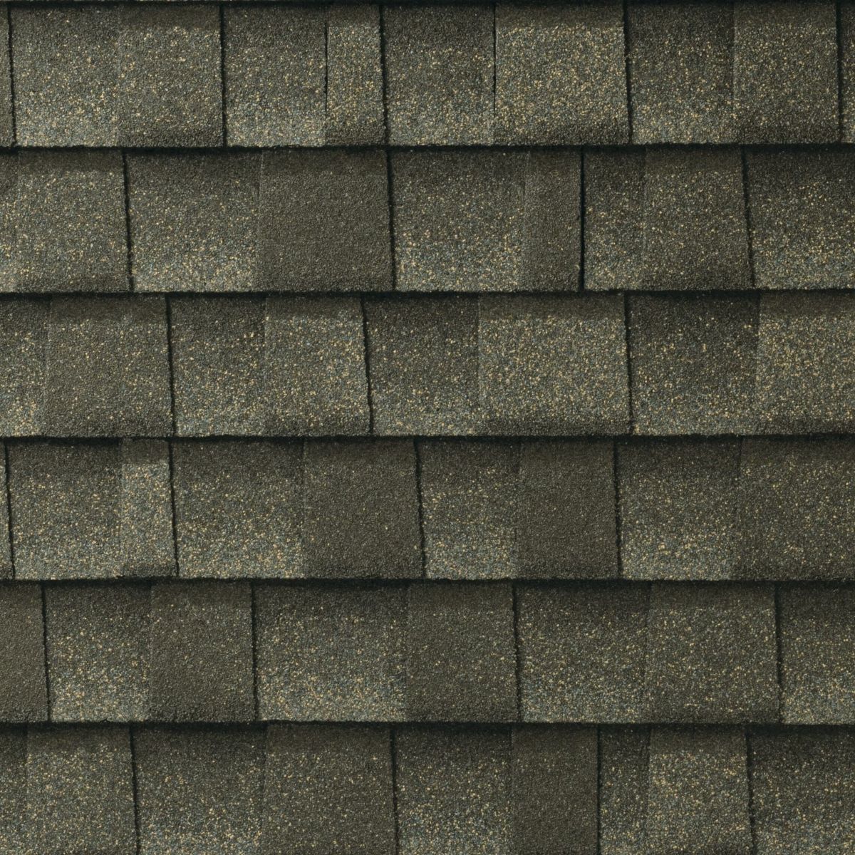 1st Alert Roofing Florida Images