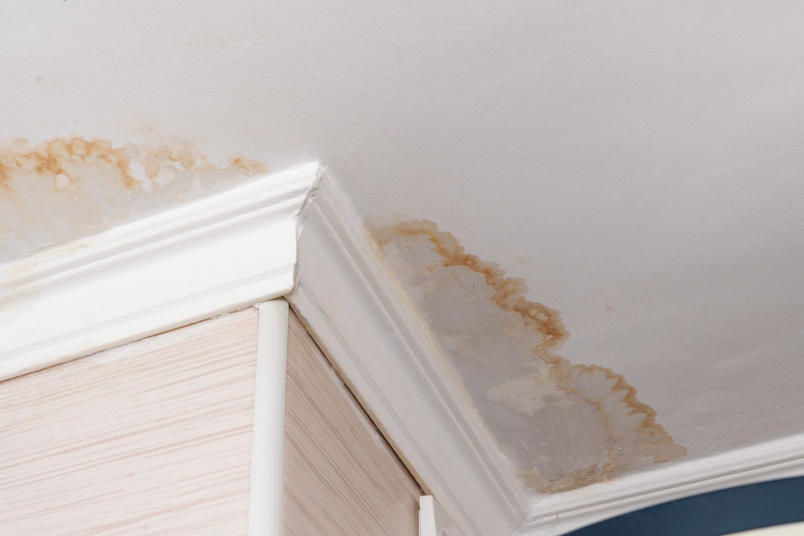 1st Alert Roofing Florida Images