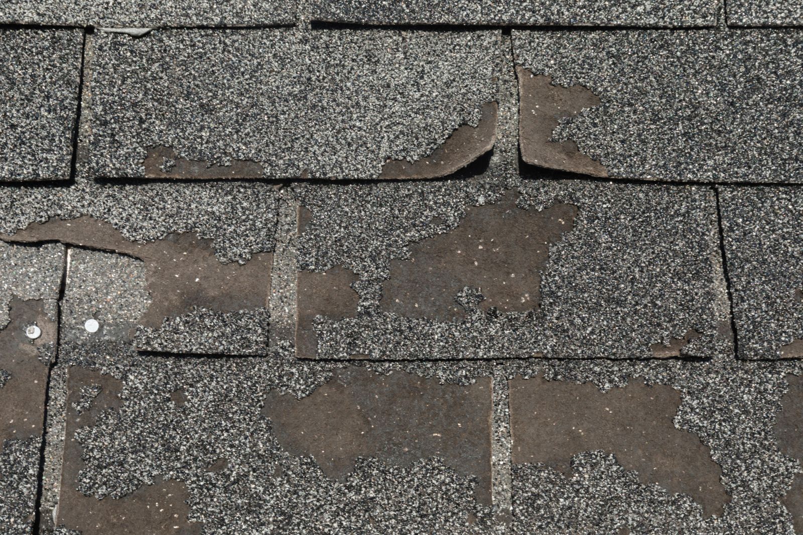 1st Alert Roofing Florida Images